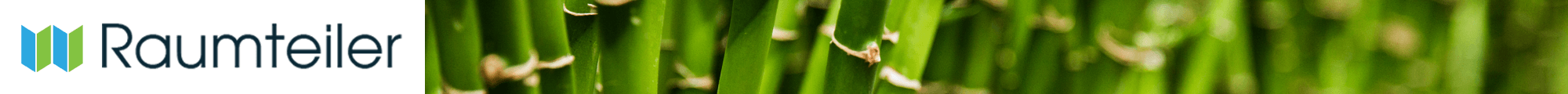 Raumteiler Logo Banner